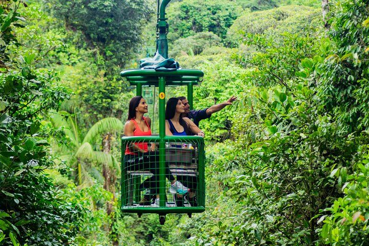 Rainforest Aerial Tram Half Day Pass – 브라울로 카릴로 파크