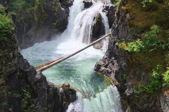 Waterfalls, Coombs and Cathedral Grove Rainforest 투어