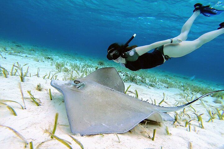 El Cielo Cozumel 개인 보트 :마이리얼트립 멕시코여행