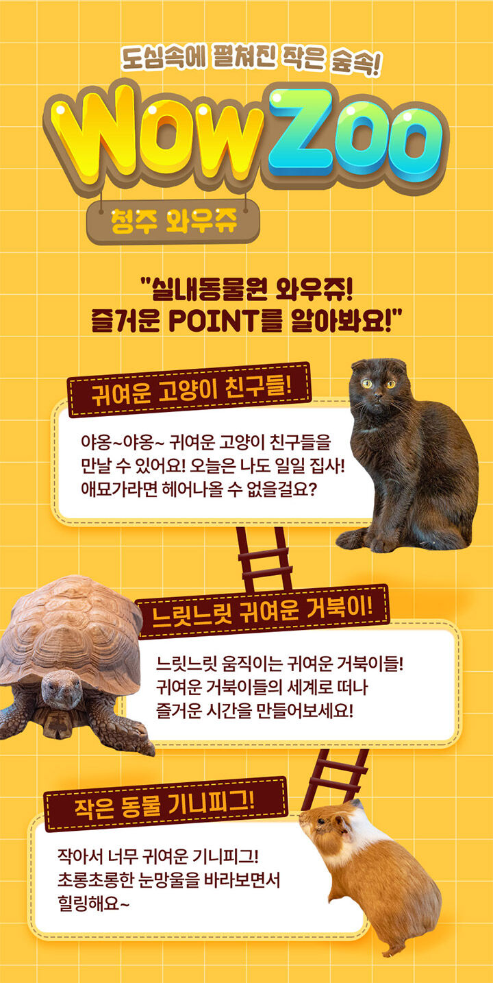 [충북 청주] 실내동물원 와우쥬 WOWZOO 입장권 상세 이미지 7