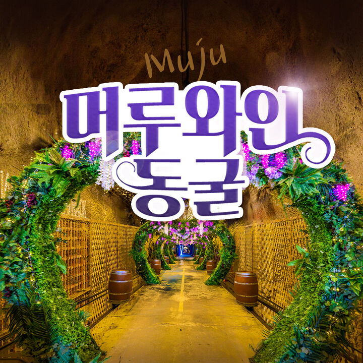 [전북] 전북투어패스 무주 머루와인동굴 -i