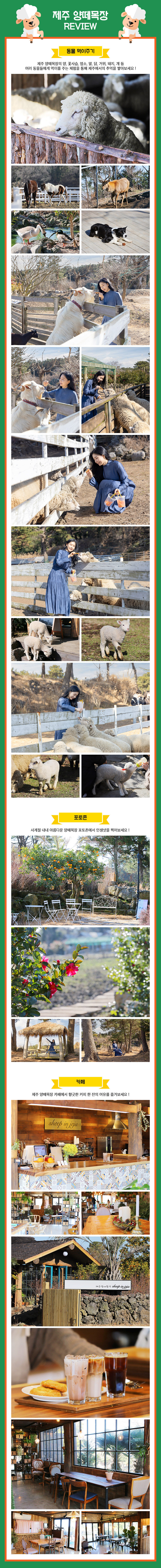 [제주] 애월 양떼목장 상세 이미지 7