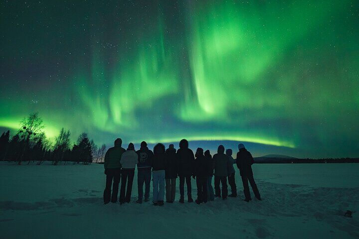 Rovaniemi : 작은 그룹 노스 라이트 헌트 - 돈을 다시 보장-i