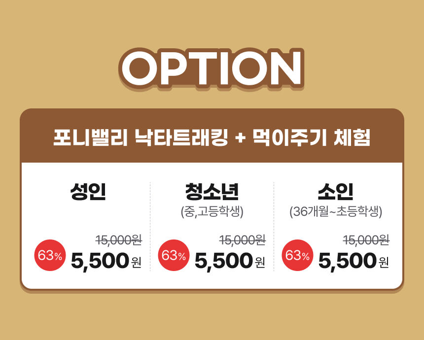 [표선] 제주 낙타트래킹+먹이주기체험 상세 이미지 5