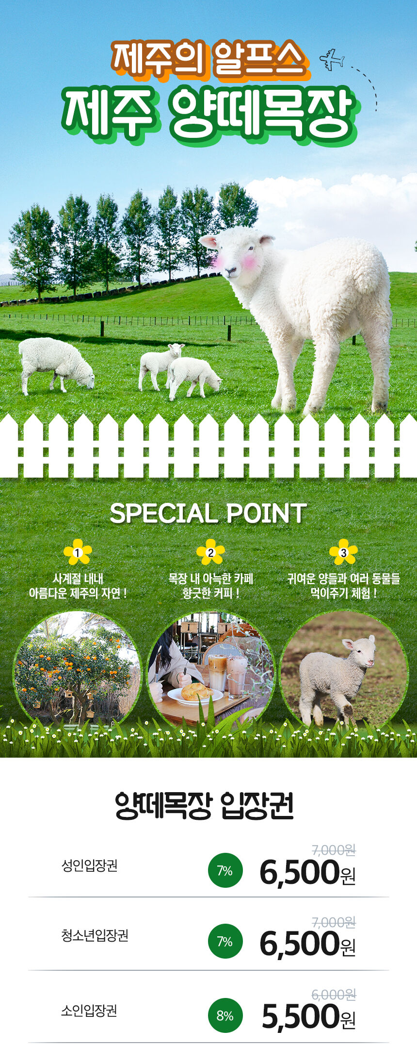 [제주] 애월 양떼목장 상세 이미지 4