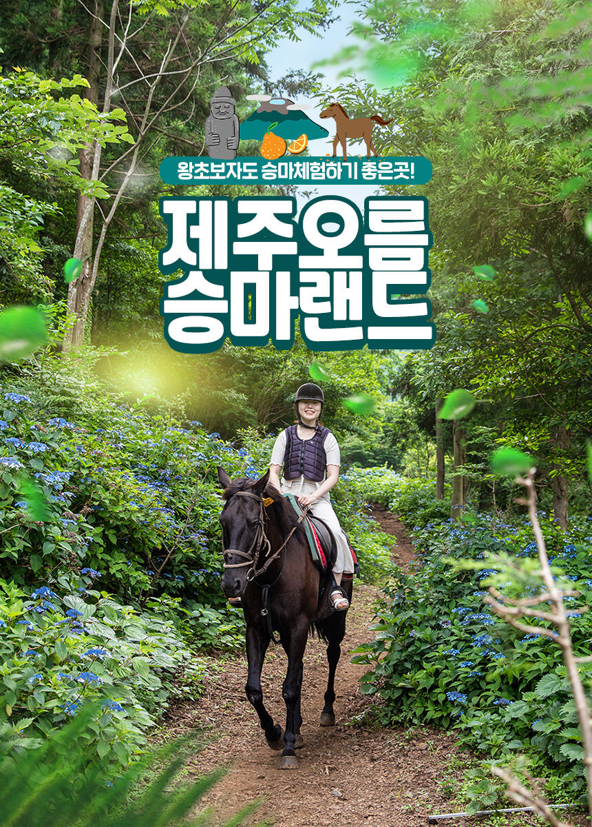 투어·티켓 상품 상세 이미지 3