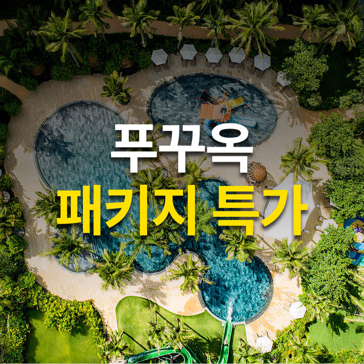 패키지 특가-i