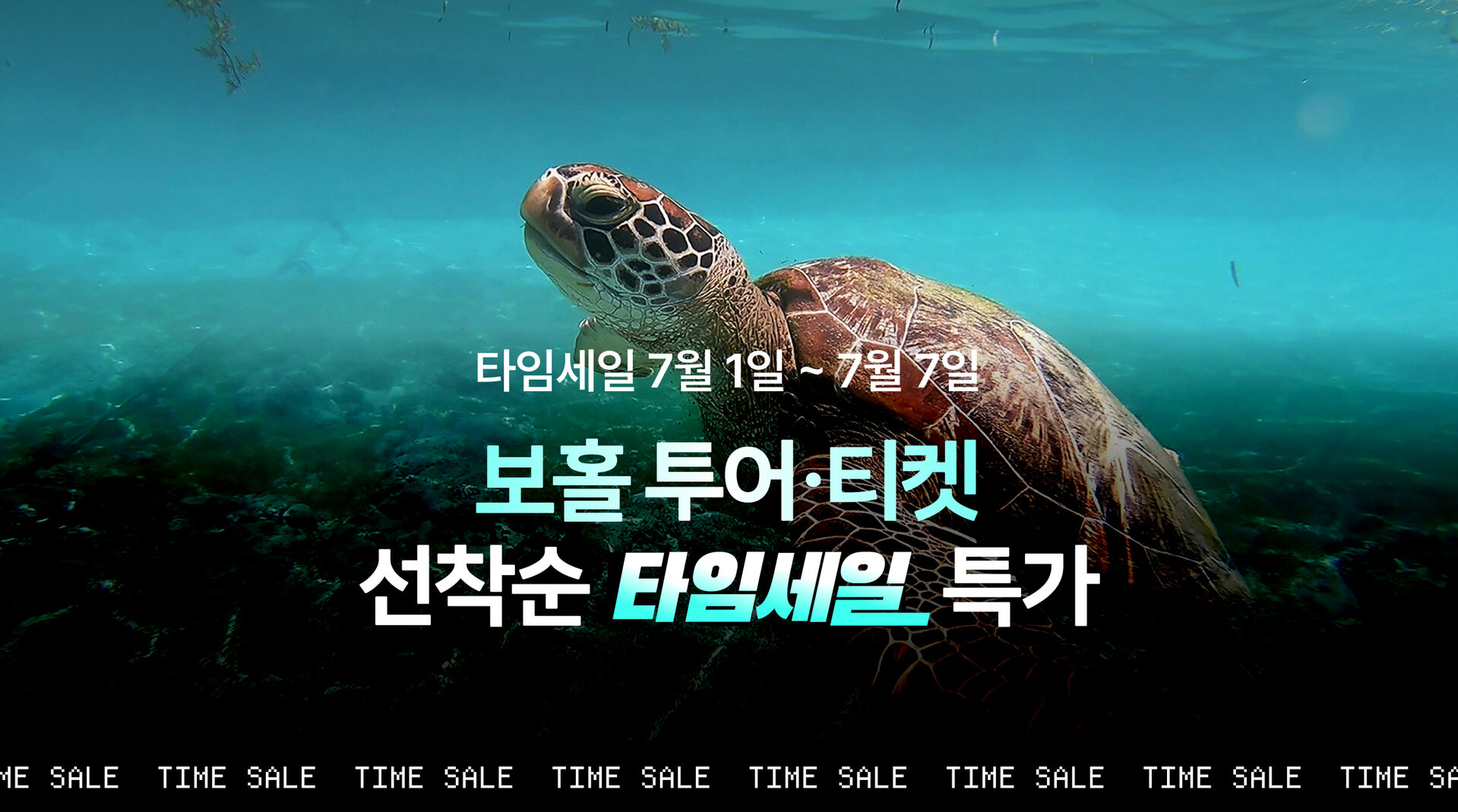 프로모션 bohol_timesale_2607
