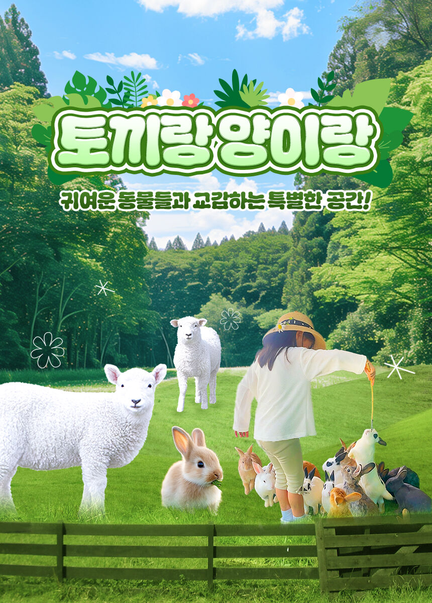 [춘천] 토끼랑양이랑 상세 이미지 4