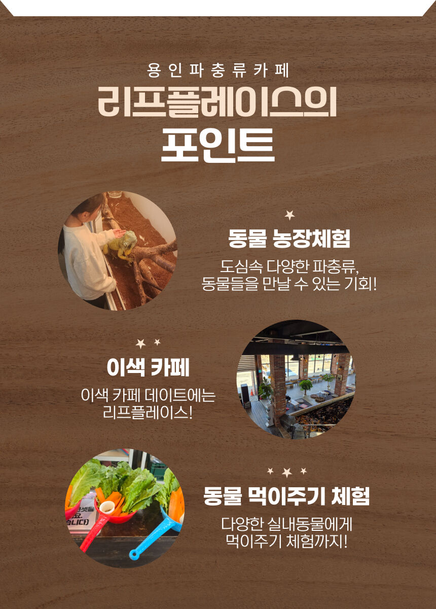 [용인] 리프플레이스(용인가볼만한곳!) 상세 이미지 7