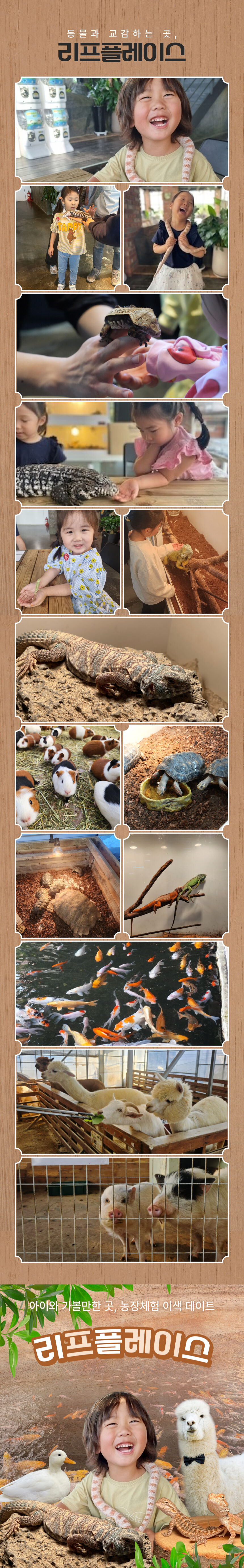 [용인] 리프플레이스(용인가볼만한곳!) 상세 이미지 8
