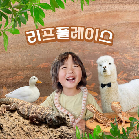 용인 티켓·입장권 - [용인] 리프플레이스(용인가볼만한곳!)