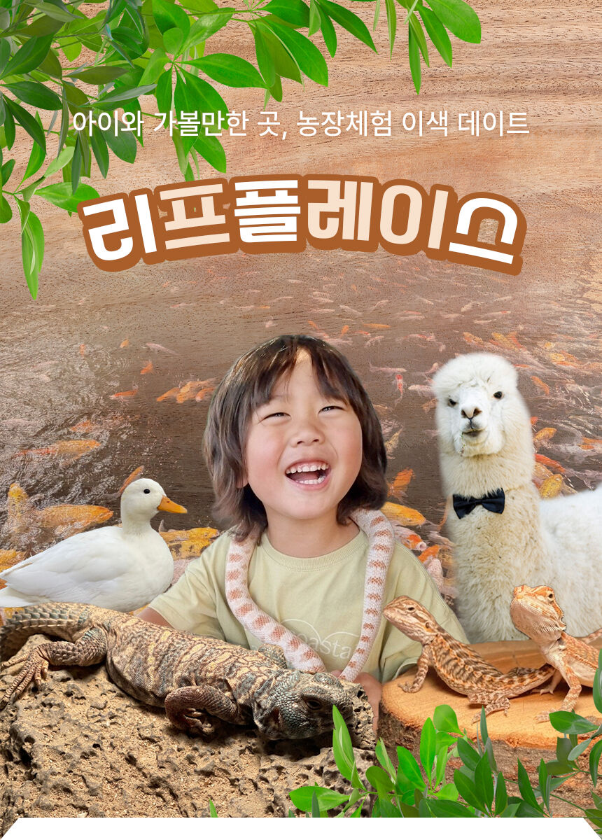 [용인] 리프플레이스(용인가볼만한곳!) 상세 이미지 4