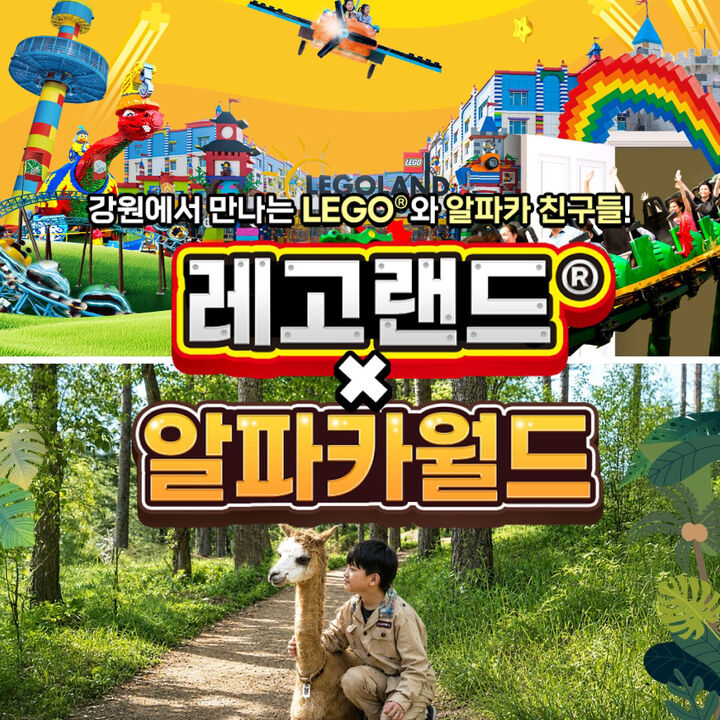 [강원] 레고랜드X알파카월드 PKG-i