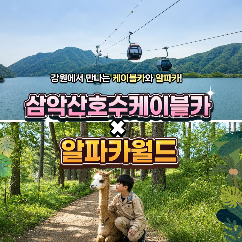 [강원] 삼악산케이블카X알파카월드 PKG