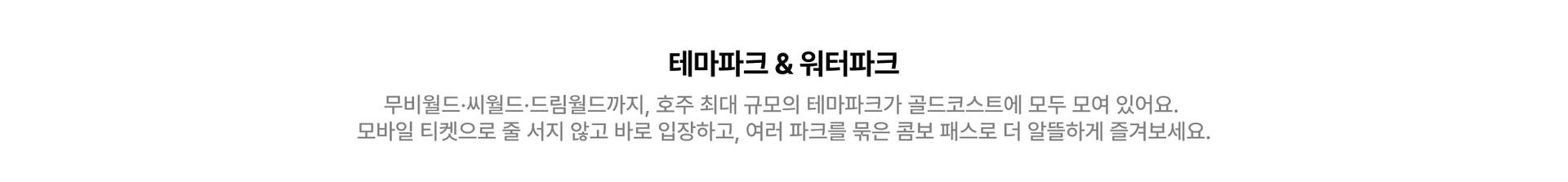 앵커링별 섹션내 타이틀.jpg
