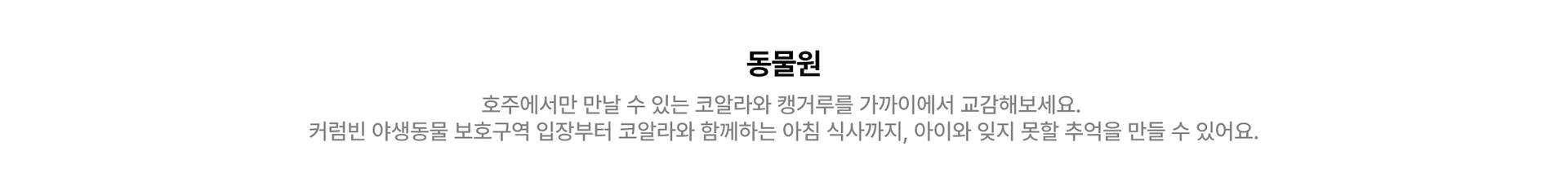 앵커링별 섹션내 타이틀.jpg (1/7)