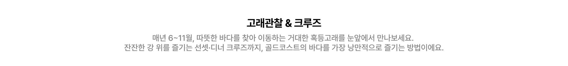 앵커링별 섹션내 타이틀-2.jpg (3/7)