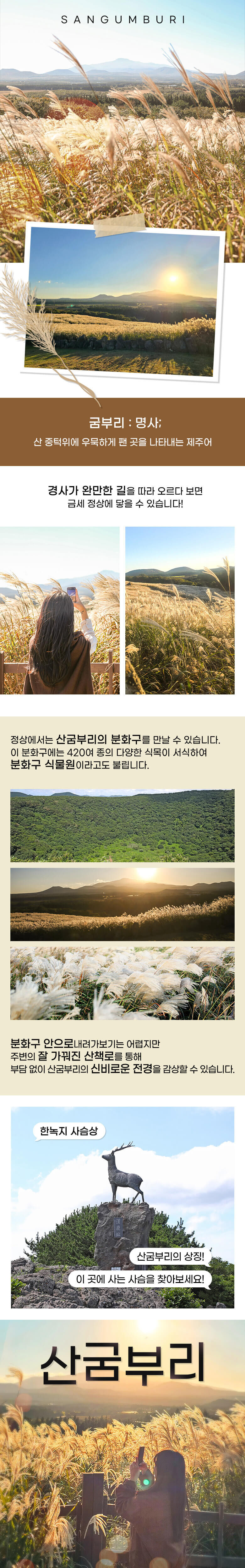 [★당일사용★] 제주 산굼부리 입장권 상세 이미지 3