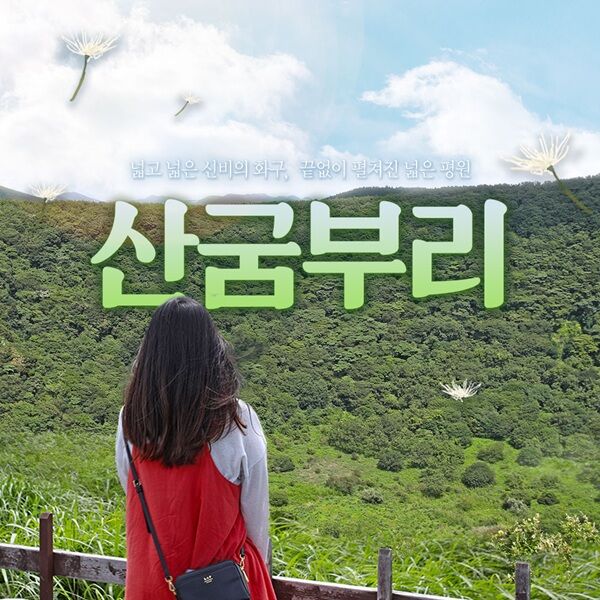 [★당일사용★] 제주 산굼부리 입장권