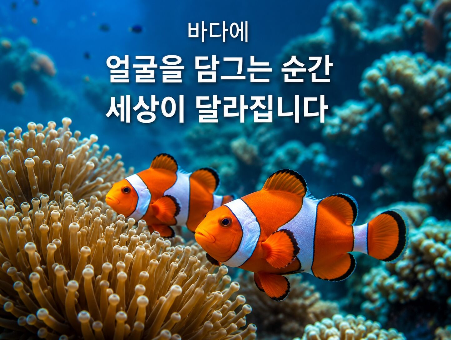 ✨ [푸켓 / 카오락] 수린섬 / 스피드카타마란보트 SS 상세 이미지 6