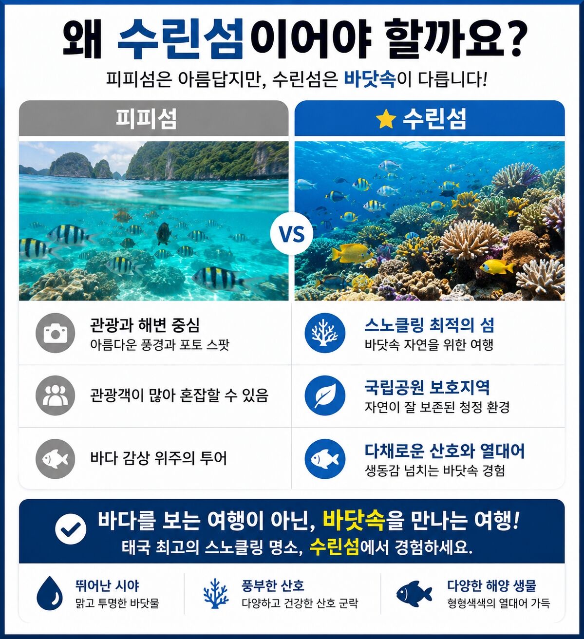 ✨ [푸켓 / 카오락] 수린섬 / 스피드카타마란보트 SS 상세 이미지 5