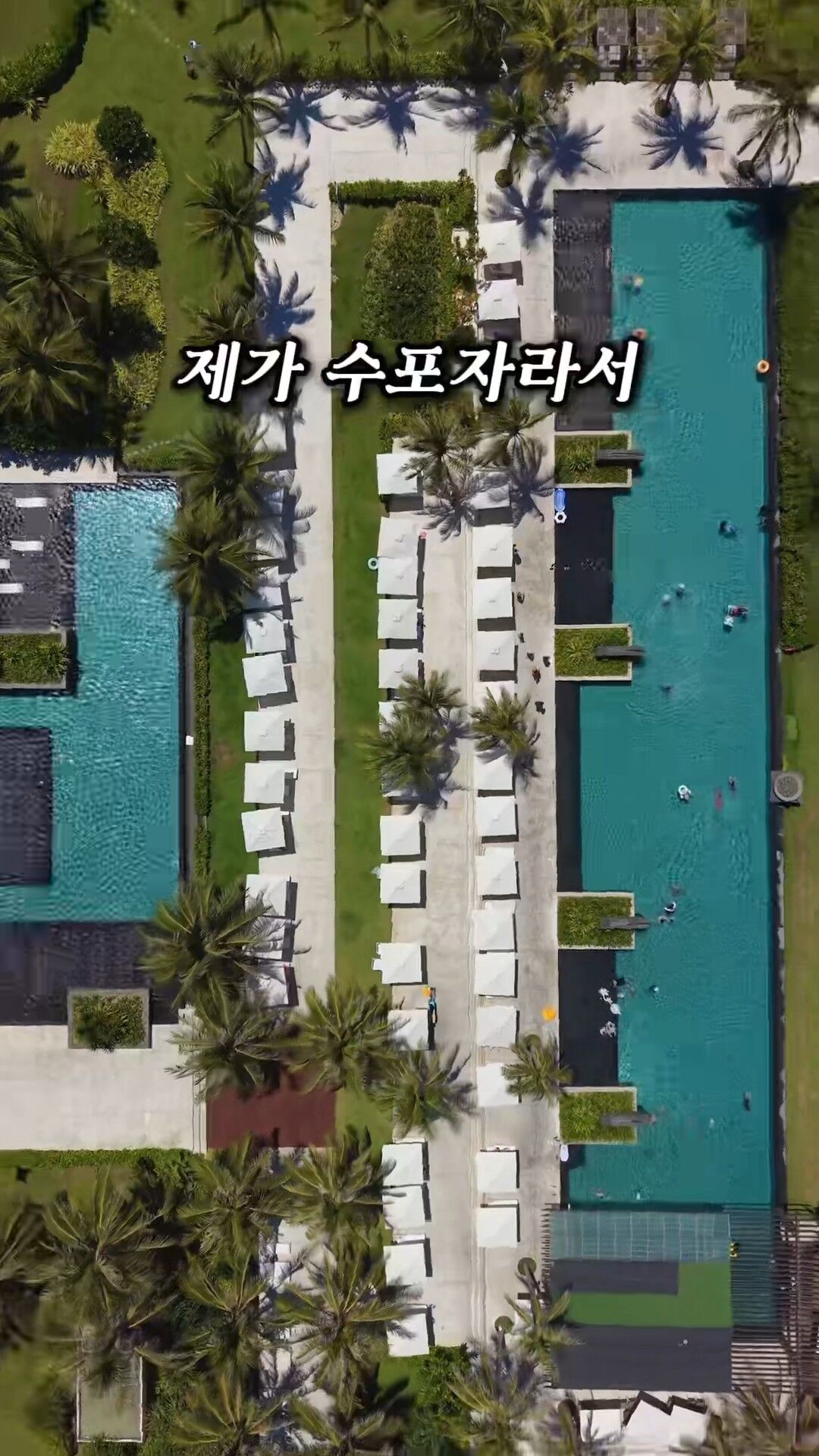 마이민x나트랑 에어텔 특가