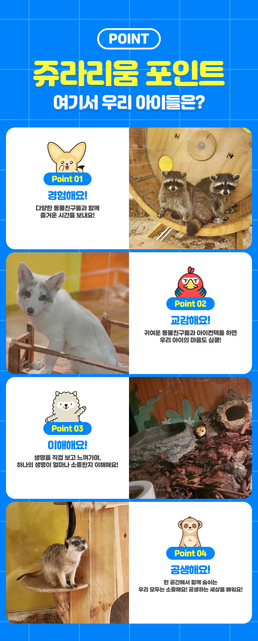 [청라] 쥬라리움 청라점 입장권 상세 이미지 5