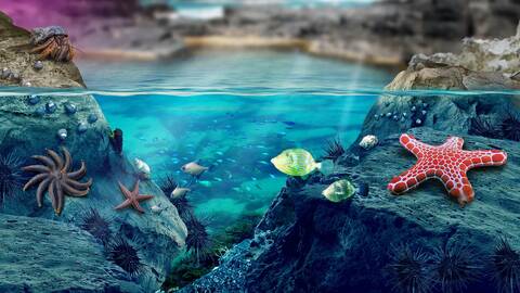 product-thumbnail-3