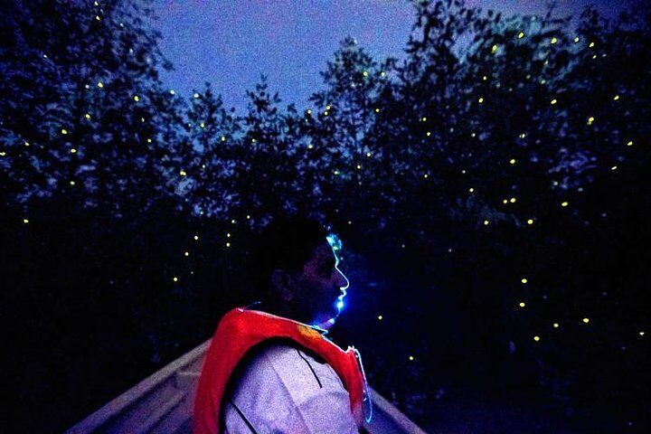 Kuala Selangor Fireflies 야간 강 크루즈, 쿠알라룸푸르 출발