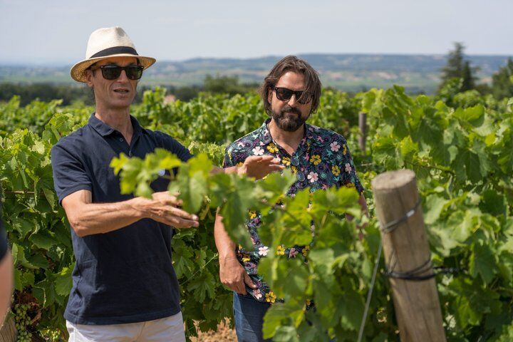 아비뇽에서 출발하는 샤토뇌프 뒤 파프(Chateauneuf du Pape)