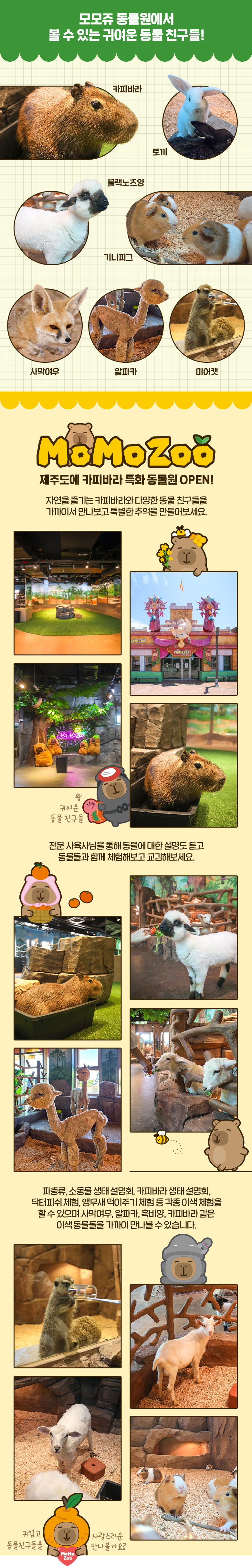 모모쥬 동물원 (제주신화월드점) 상세 이미지 4