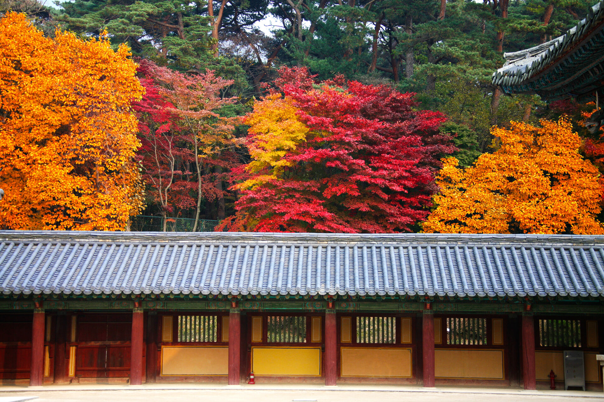 [가을한정/부산출발] 경주 단풍 1일 투어｜한국어 가이드｜1인 출발 가능 상세 이미지 6