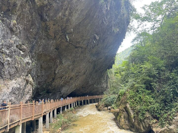장가계 4일 [부산출발/에어부산] [노팁노옵션] [정5성호텔] #전신마사지 #무릉원야경투어-i