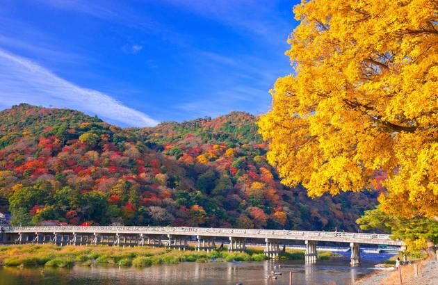 ★선착순특가/청주 오사카3일★#풀패키지#낭만교토숙박#식사ALL포함#오사카,교토,아라시야-i
