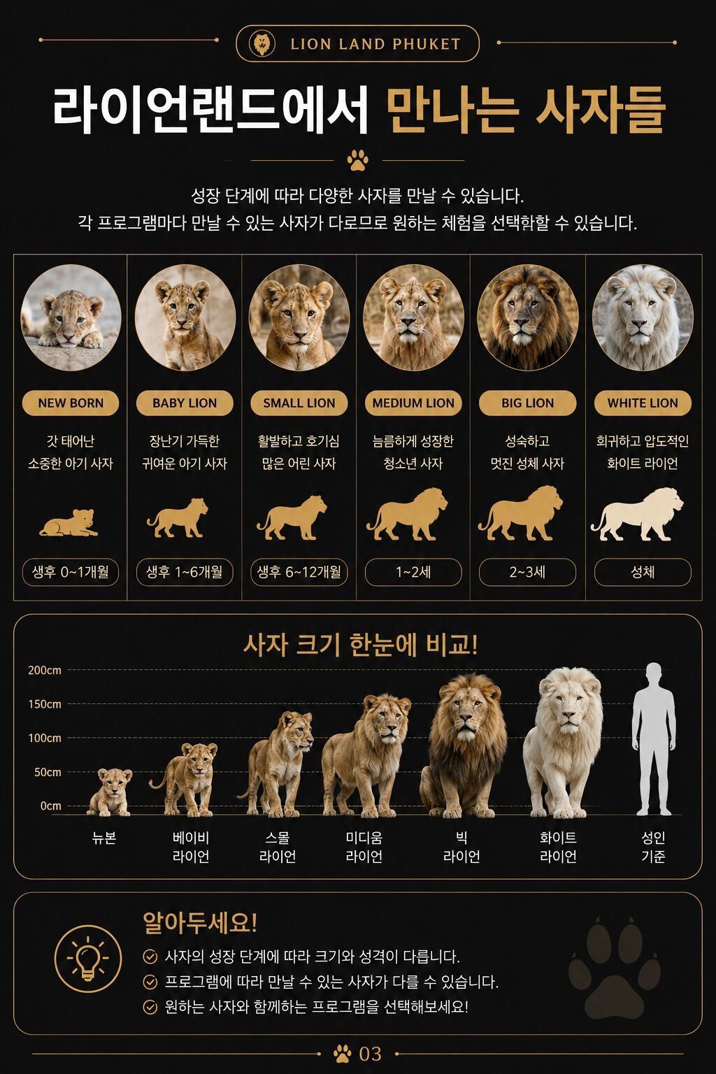 투어·티켓 상품 상세 이미지 3