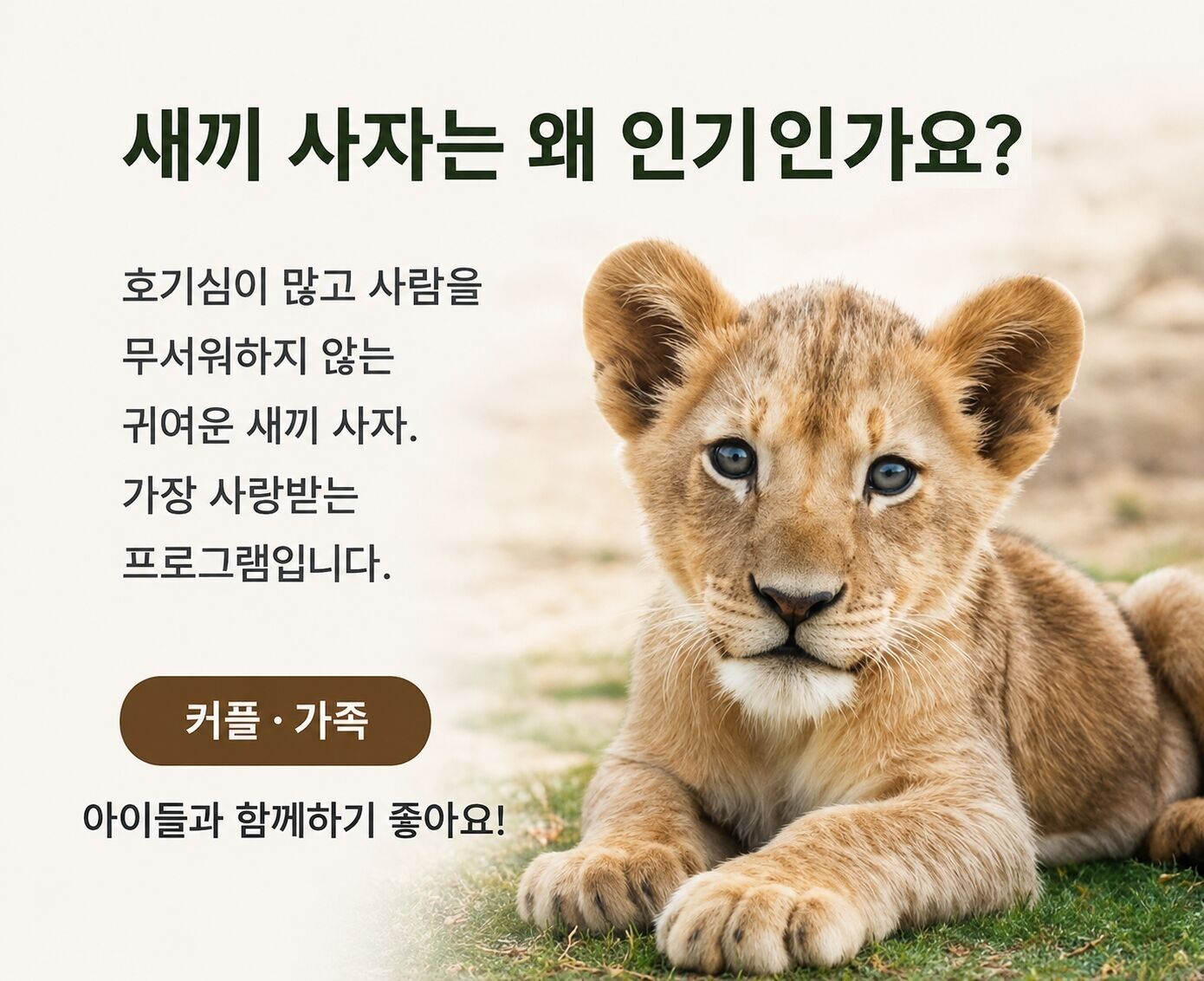 투어·티켓 상품 상세 이미지 8
