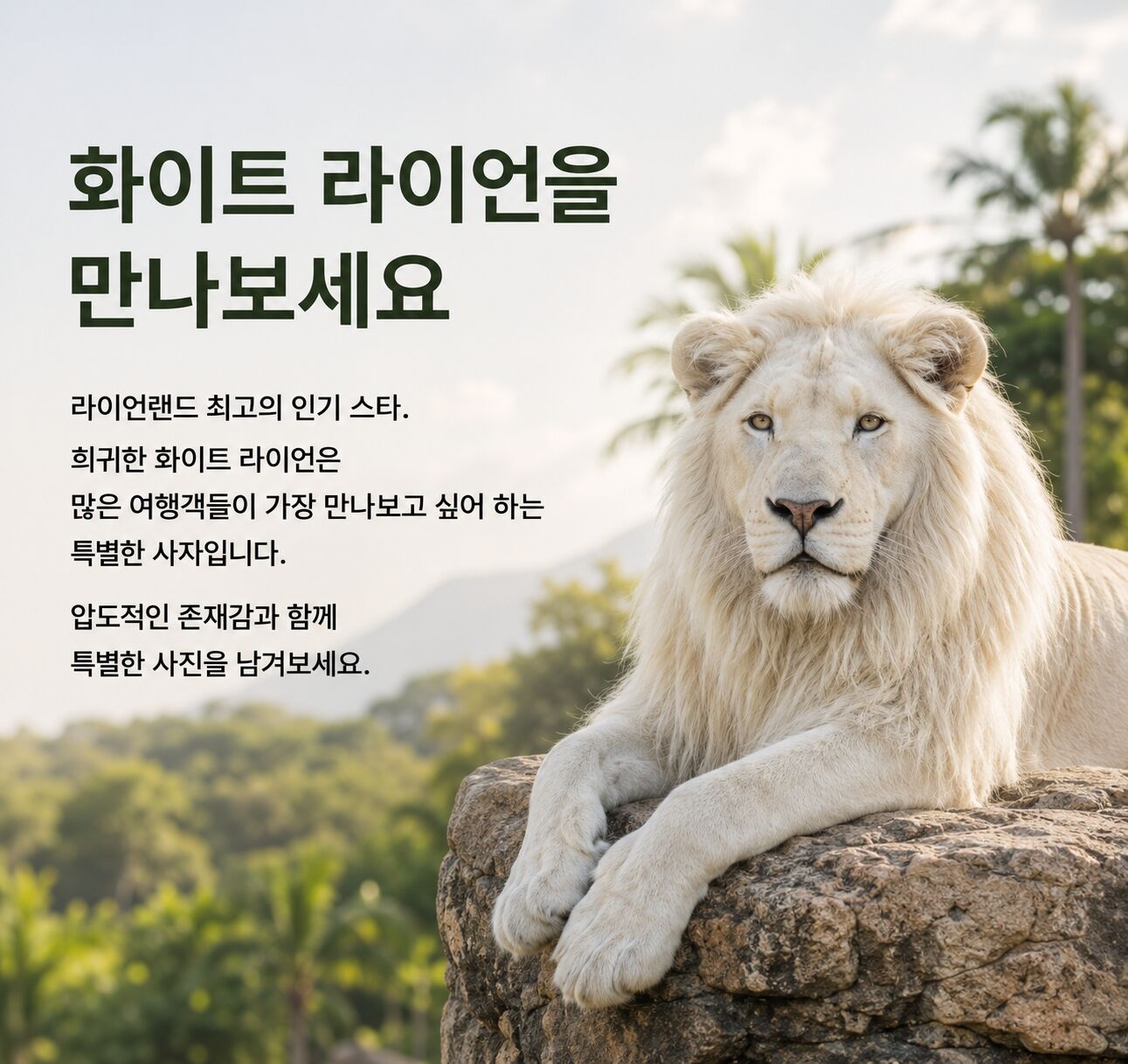 투어·티켓 상품 상세 이미지 7