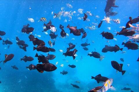 product-thumbnail-3