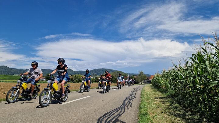 라인 폭포 모페드 투어 4시간 — 65km 달리는 뱅뱅이 클래식-i