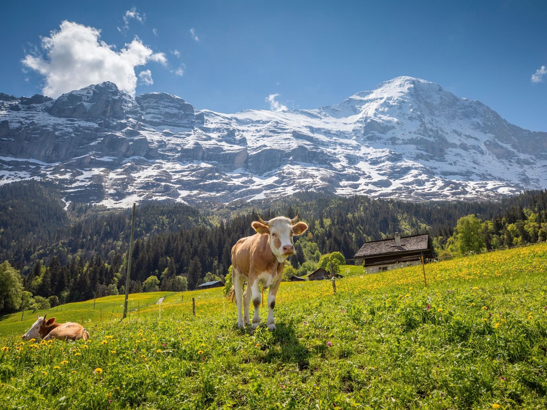 투어·티켓 상품 상세 이미지 3