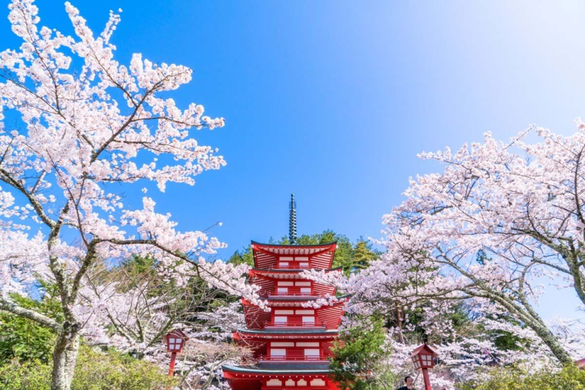 투어·티켓 상품 상세 이미지 5