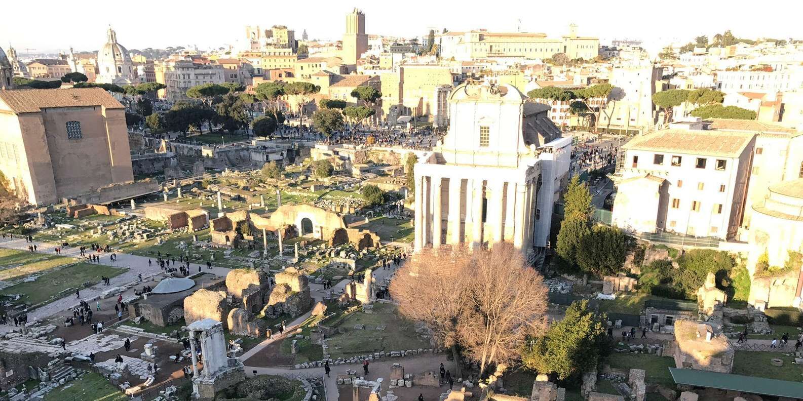 section