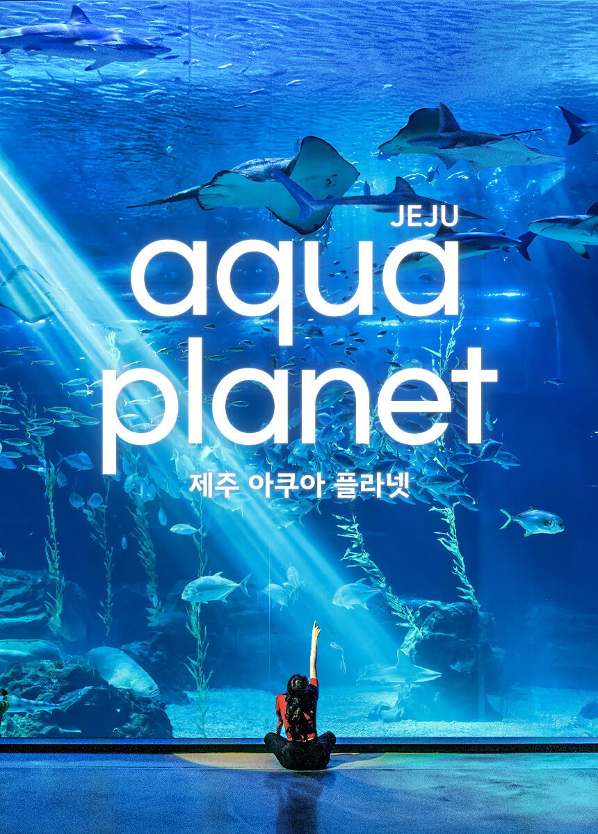 [제주] 아쿠아플라넷 + 혜택 4종 증정 상세 이미지 4