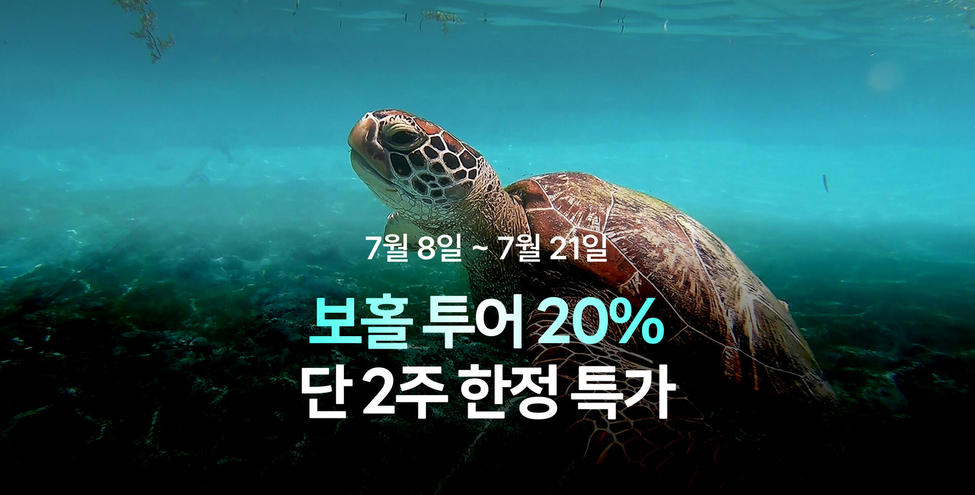 7월 마리특 보홀 썸머페스타 프로모션