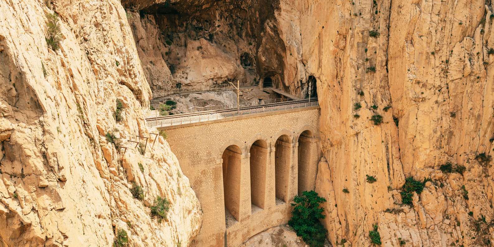 section