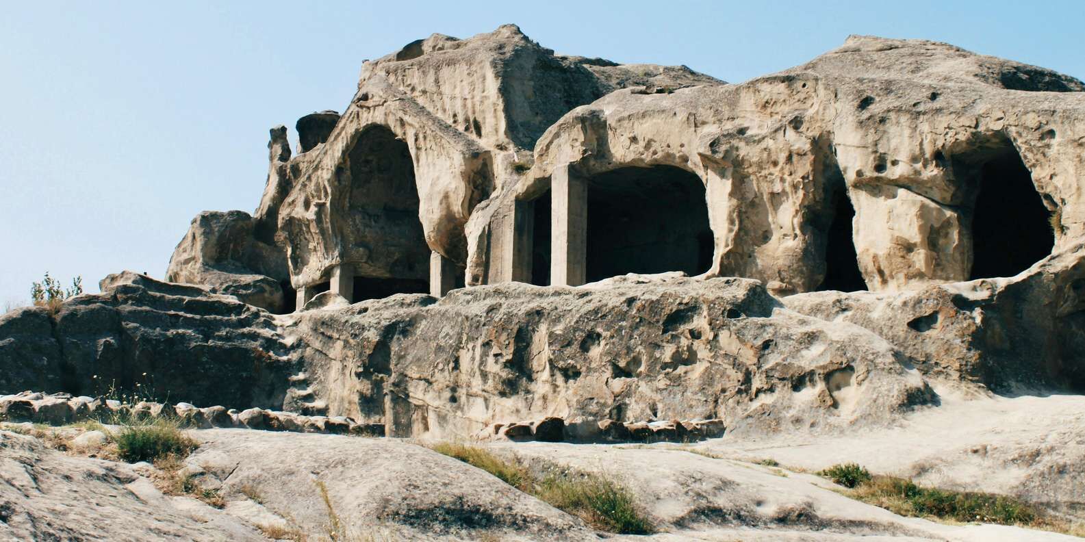 section