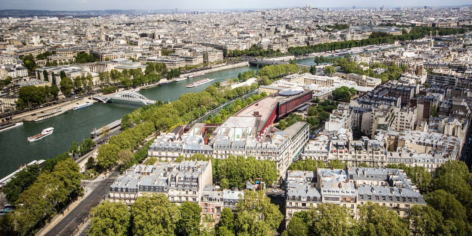 scene