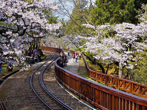 가오슝 4일 [부산출발] [노옵션노쇼핑] #아리산풍경구 #타이난  #불광사 #연지담 (~7/28까지 선발권조건)-i