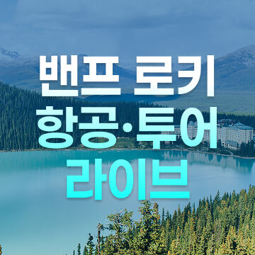 단독특가 라이브-i